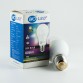 LED AMPUL 9W